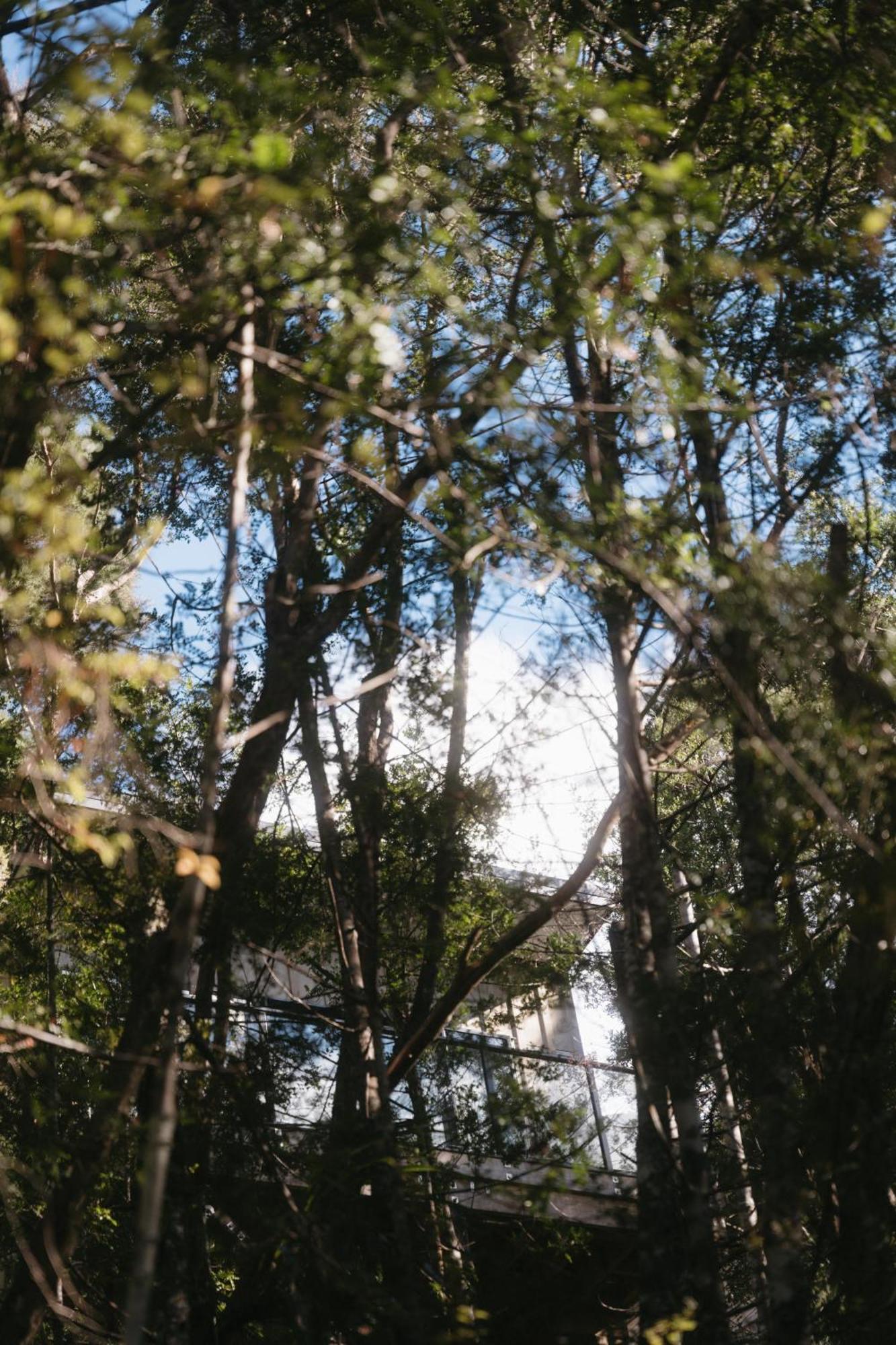 Treetop Tranquility At Rekindle Tree Houses Opua Esterno foto