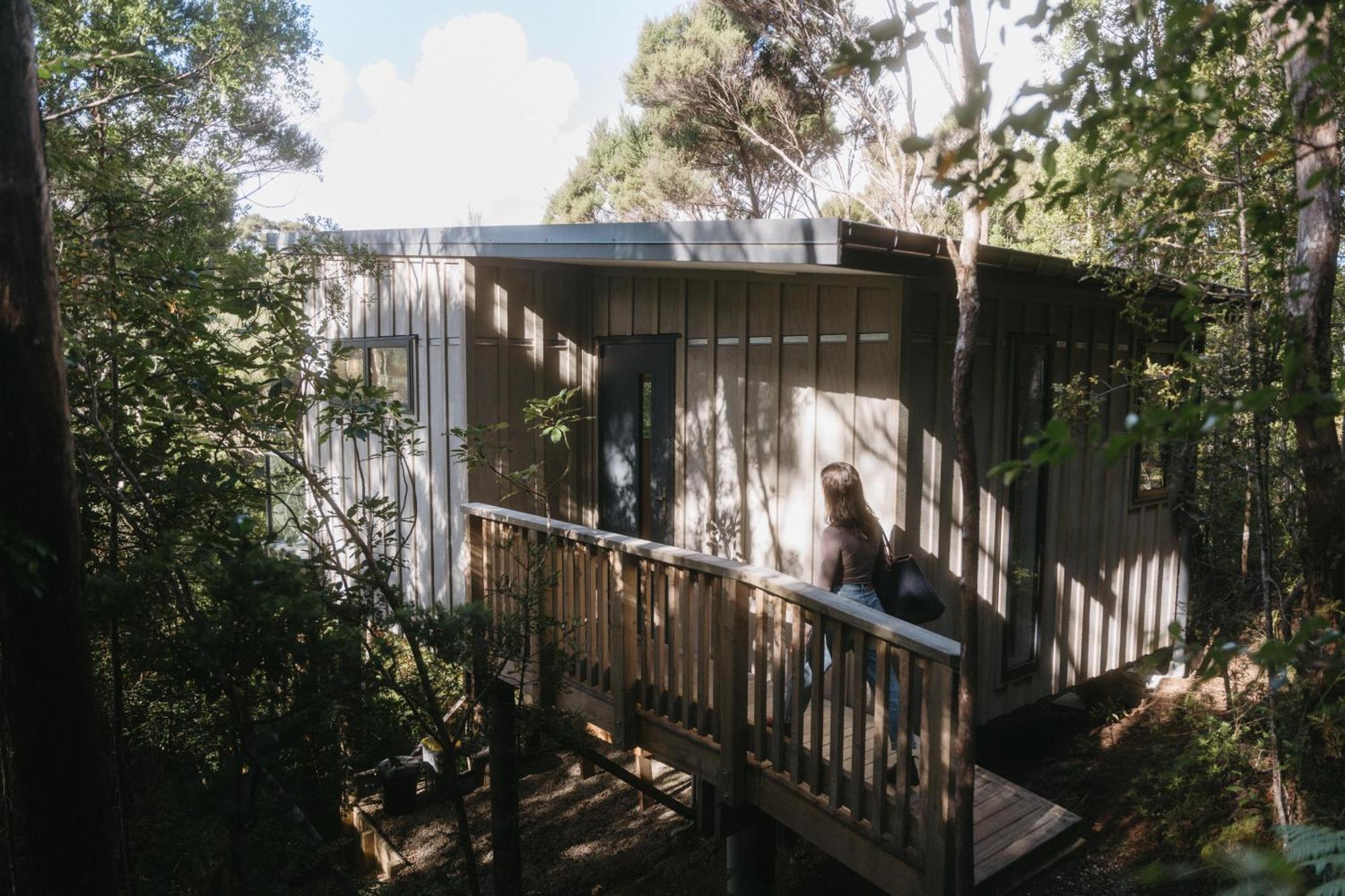 Treetop Tranquility At Rekindle Tree Houses Opua Esterno foto